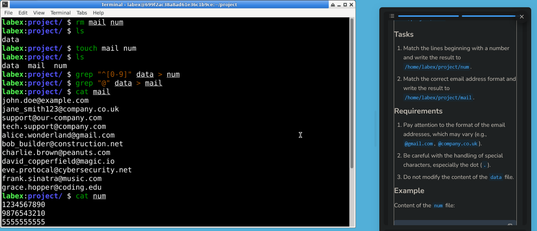 LabEx Screenshot 1