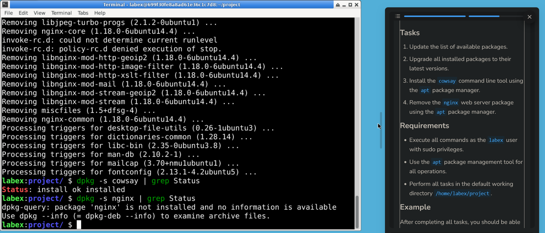 LabEx Screenshot 2