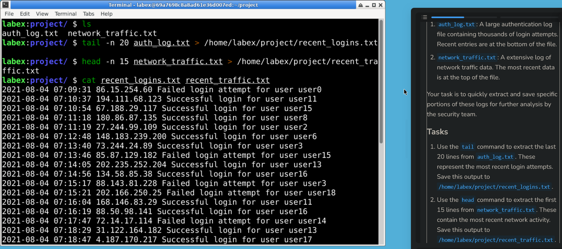 LabEx Screenshot 5